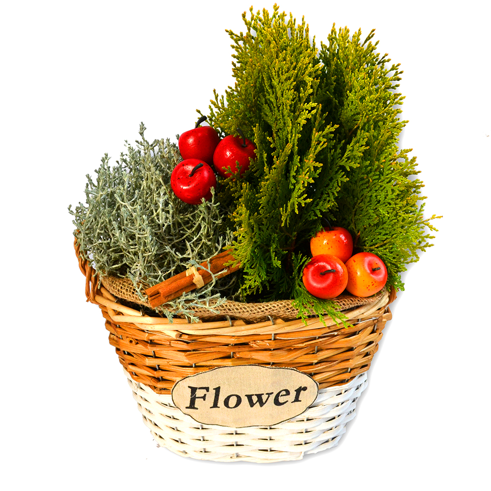 Aranjament cu plante de exterior si accesorii