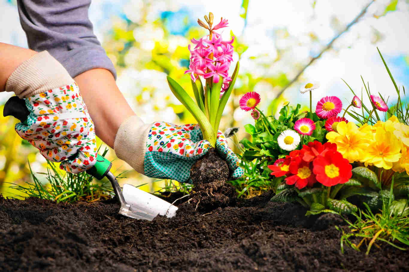 Cele mai importante 10 sfaturi pentru îngrijirea grădinii primăvara