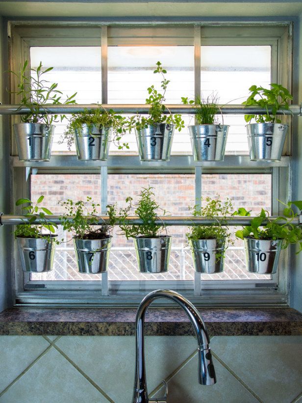 13 plante aromatice pe care le puteți crește în bucătărie